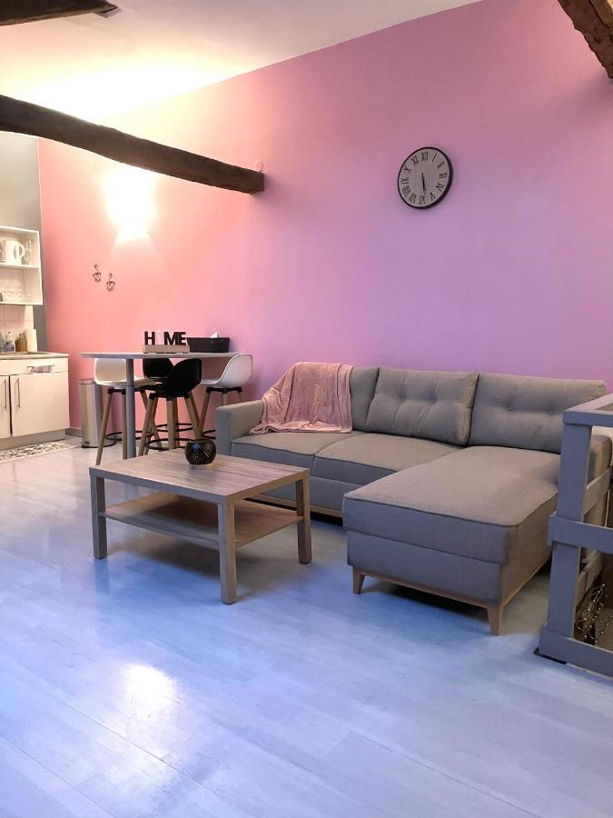 Chablis: Grand Studio En Plein Centre Ville 외부 사진