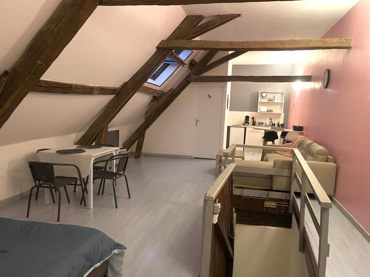 Chablis: Grand Studio En Plein Centre Ville 외부 사진